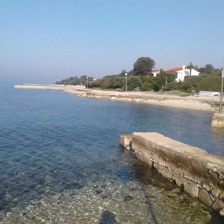 Apartmani Matela Petrcane Buitenkant foto